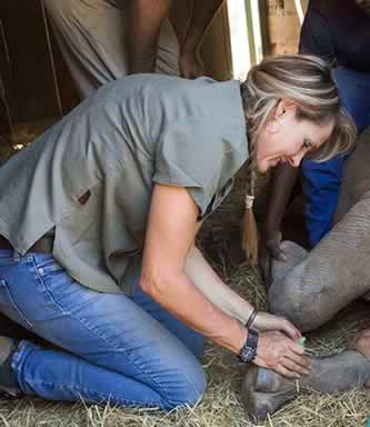 Rhino Mart Care-for-Wild-Africa