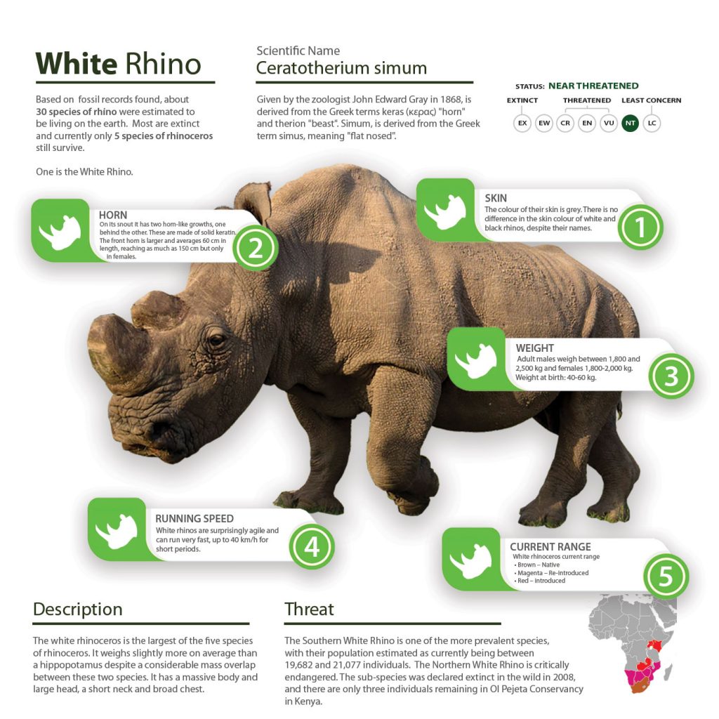 White Rhino, Save the Rhino