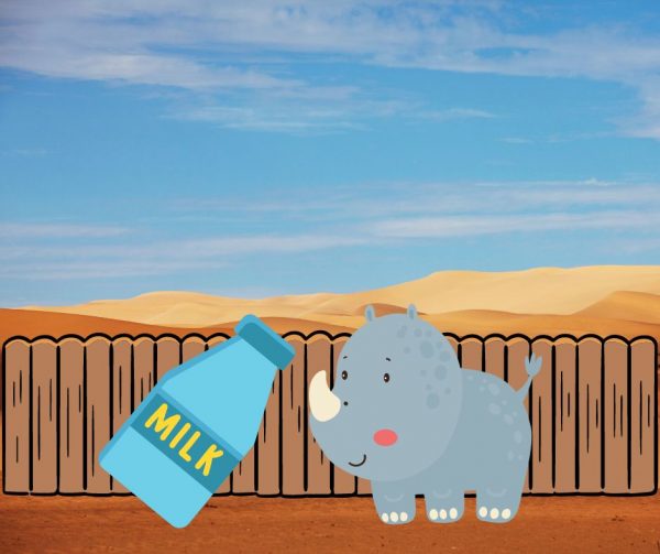 bag of milk for baby rhinos